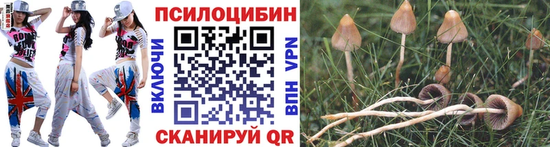 купить наркоту Радужный гидра tor Псилоцибиновые грибы прущие грибы